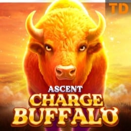 Charge Buffalo -Ascent