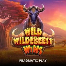 Wild Wildebeest Wins