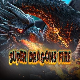 Super Dragons Fire
