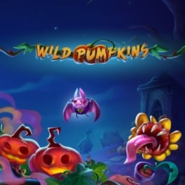 Wild Pumpkins