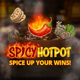 Spicy Hotpot