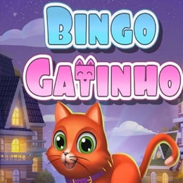 Bingo Gatinho