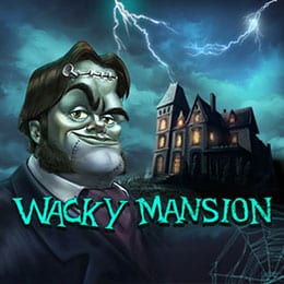 Wacky Mansion