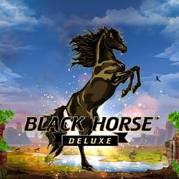 BLACK HORSE DELUXE