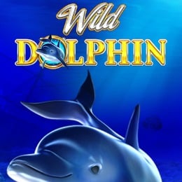 Wild Dolphin