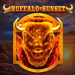 Buffalo Sunset