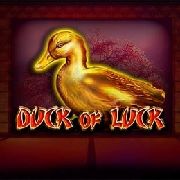 Duck Of Luck