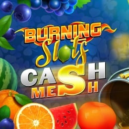 Burning Slots Cash Mesh