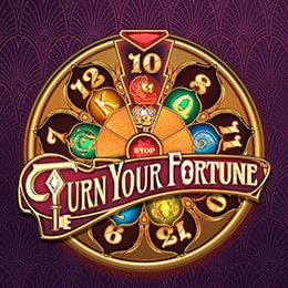 Turn Your Fortune