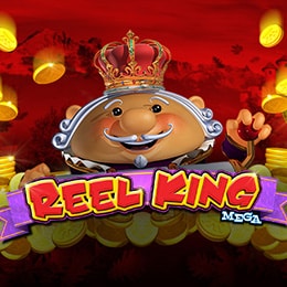 Reel King Mega