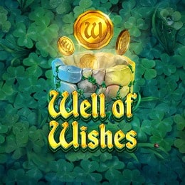 Well Of Wishes