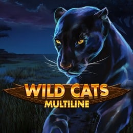 Wild Cats Multiline