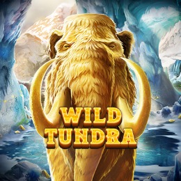 Wild Tundra