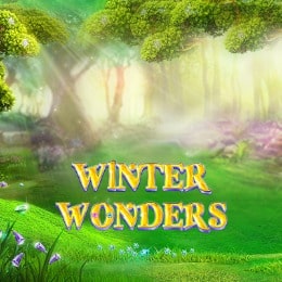 Winter Wonders