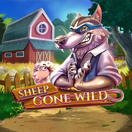 Sheep Gone Wild