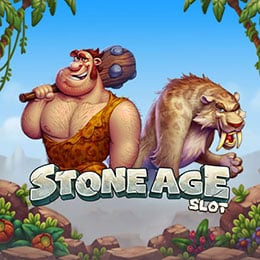 Stone Age