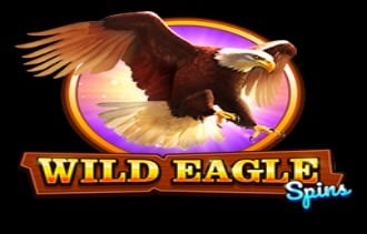 Wild Eagle  B