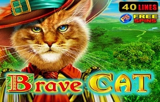 Brave Cat