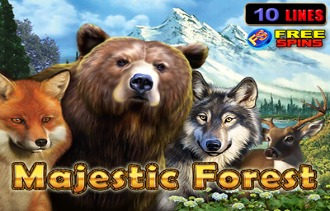 Majestic Forest