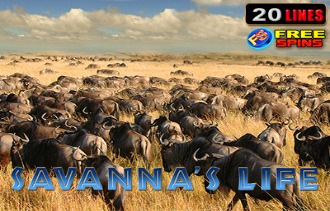 Savanna's Life