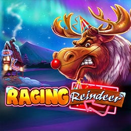 Raging Reindeer