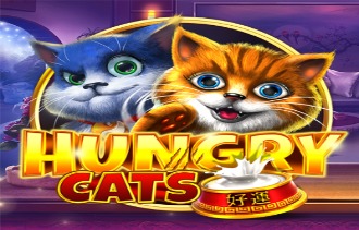 Hungry Cats