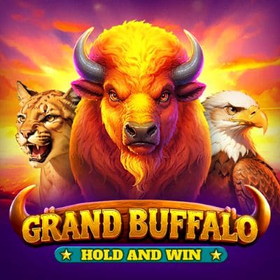Grand Buffalo Hold and Win